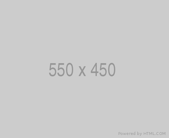 550x450